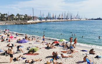TEASER Cannes 2026 mitBlue Yachting
